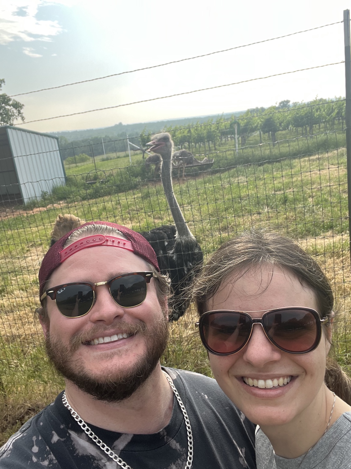 Paige and Charles smiling with an ostrich photobombing their selfie